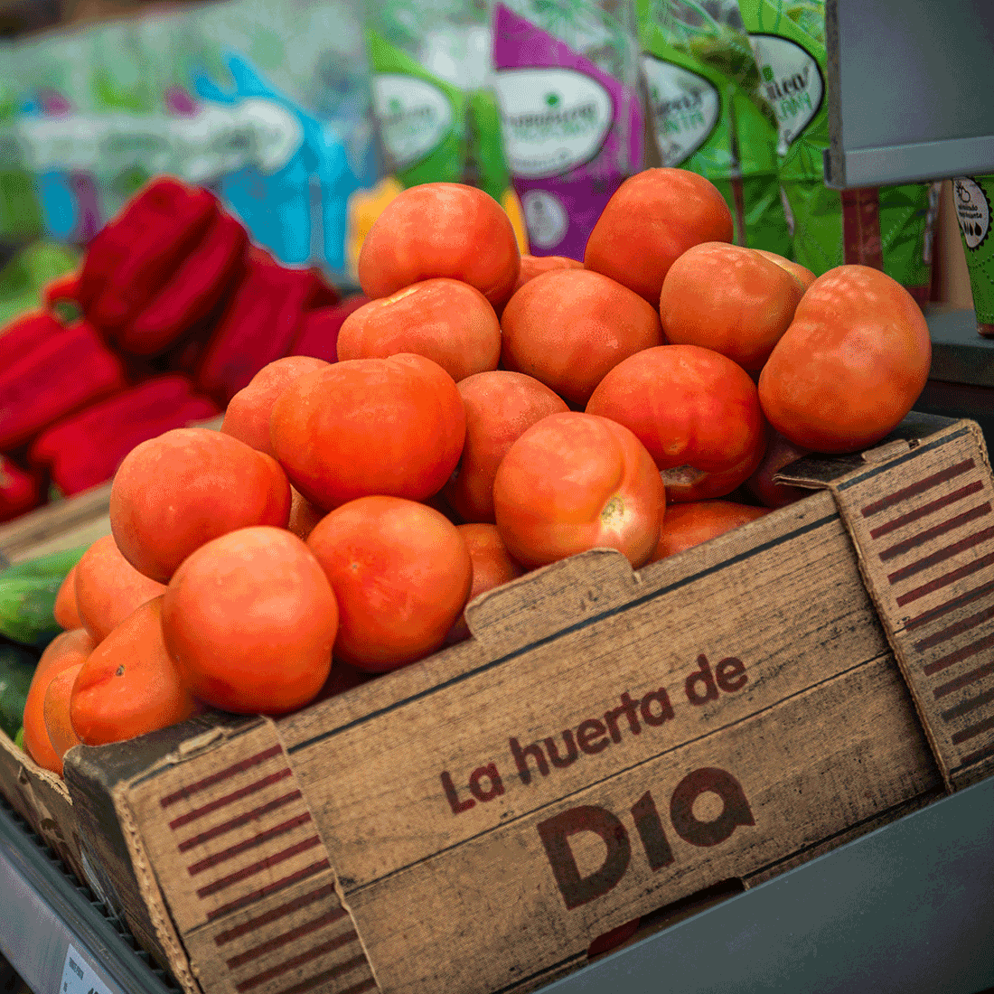 Dia reduce un 15% el desperdicio alimentario en su operación global.