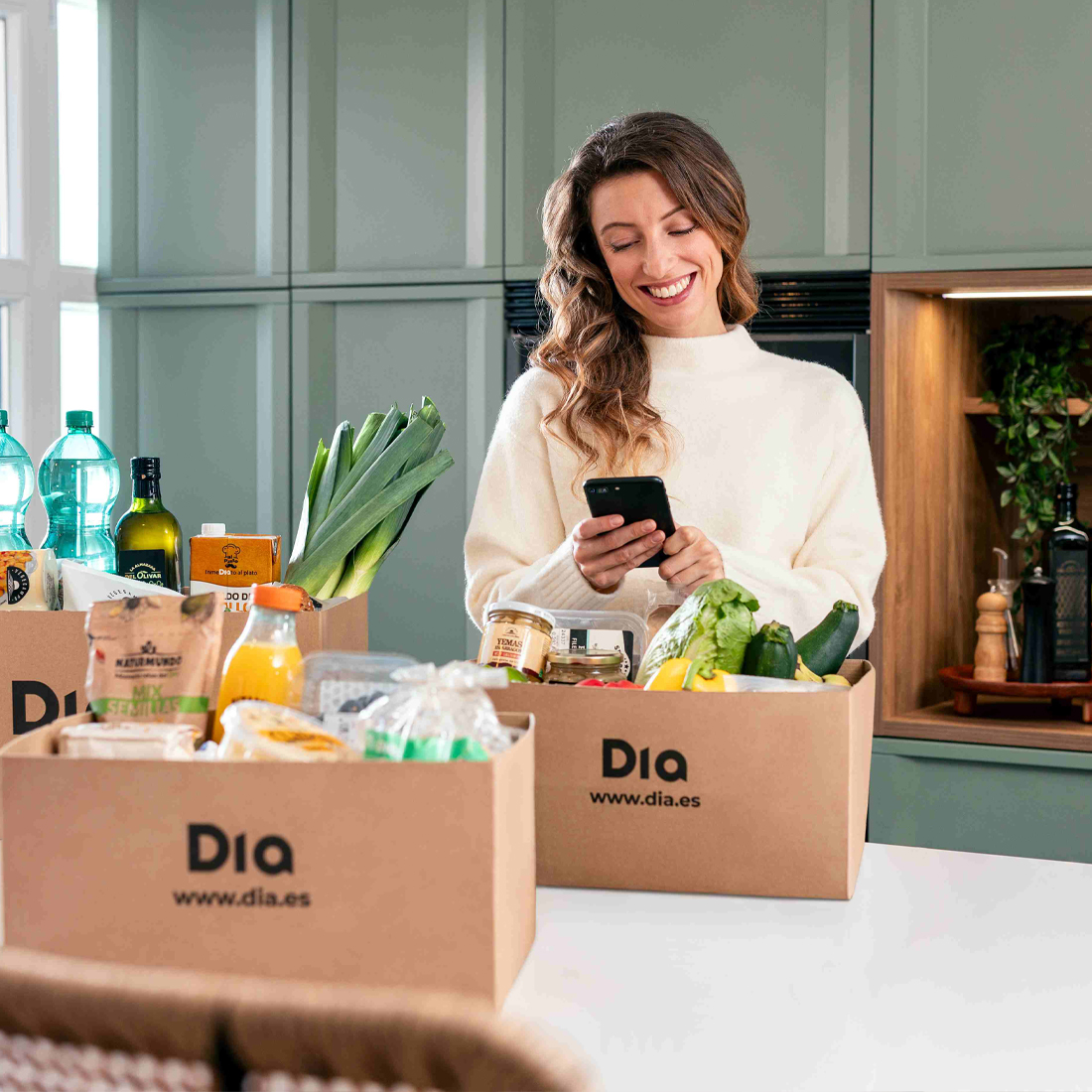 El e-commerce de Dia sigue ganando terreno en 2025