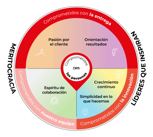 rosco_transprencia (1)